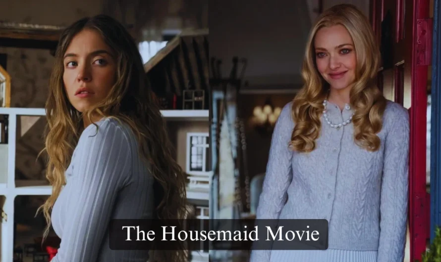The Housemaid Movie Guide: Plot, Cast and Ending Explained
