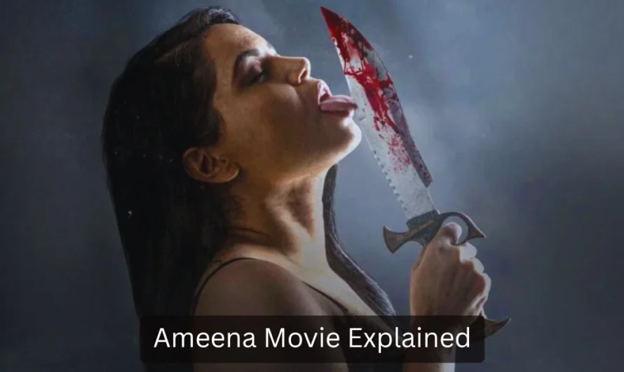 Ameena Movie Explained : Full Story & Emotional Climax