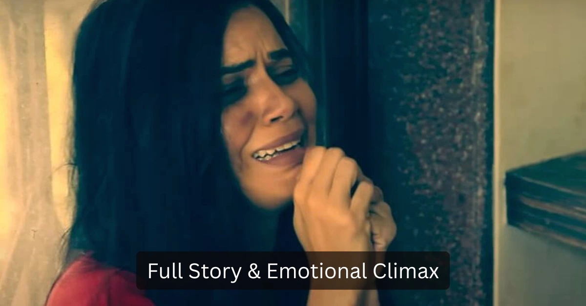 Ameena Movie